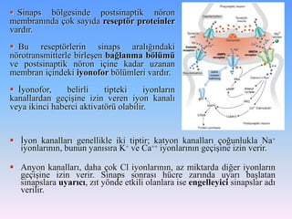 Sinaps bölgesinde postsinaptik nöron
membranında çok sayıda reseptör proteinler
vardır.
 Bu reseptörlerin sinaps aralığındaki
nörotransmitterle birleşen bağlanma bölümü
ve postsinaptik nöron içine kadar uzanan
membran içindeki iyonofor bölümleri vardır.
 İyonofor,     belirli    tipteki     iyonların
kanallardan geçişine izin veren iyon kanalı
veya ikinci haberci aktivatörü olabilir.


 İyon kanalları genellikle iki tiptir; katyon kanalları çoğunlukla Na+
  iyonlarının, bunun yanısıra K+ ve Ca++ iyonlarının geçişine izin verir.

 Anyon kanalları, daha çok Cl- iyonlarının, az miktarda diğer iyonların
  geçişine izin verir. Sinaps sonrası hücre zarında uyarı başlatan
  sinapslara uyarıcı, zıt yönde etkili olanlara ise engelleyici sinapslar adı
  verilir.
 