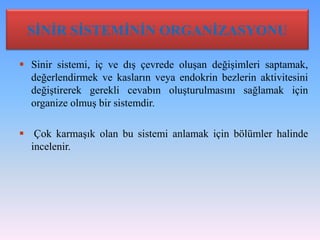 SİNİR SİSTEMİNİN ORGANİZASYONU

 Sinir sistemi, iç ve dış çevrede oluşan değişimleri saptamak,
  değerlendirmek ve kasların veya endokrin bezlerin aktivitesini
  değiştirerek gerekli cevabın oluşturulmasını sağlamak için
  organize olmuş bir sistemdir.

 Çok karmaşık olan bu sistemi anlamak için bölümler halinde
  incelenir.
 