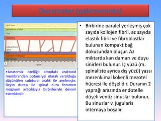 Duramater (pakimeninks)
                                             • Birbirine paralel yerleşmiş çok
                                               sayıda kollojen fibril, az sayıda
                                               elastik fibril ve fibroblastlar
                                               bulunan kompakt bağ
                                               dokusundan oluşur. Az
                                               miktarda kan damarı ve duyu
                                               sinirleri bulunur. İç yüzü (m.
•Anatomik özelliği: altındaki araknoid         spinaliste ayrıca dış yüzü) yassı
membrandan potansiyel olarak varolduğu         mezenkimal kökenli mezotel
düşünülen subdural aralık ile ayrılmıştır.
Beyin durası ile spinal dura foramen           hücresi ile döşelidir. Duranın 2
magnum aracılığıyla birbirleriyle devam        yaprağı arasında endotelle
etmektedir.
                                               döşeli venöz sinuslar bulunur.
                                               Bu sinuslar v. jugularis
                                               internaya boşalır.
 