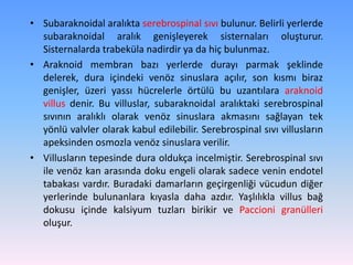 • Subaraknoidal aralıkta serebrospinal sıvı bulunur. Belirli yerlerde
  subaraknoidal aralık genişleyerek sisternaları oluşturur.
  Sisternalarda trabeküla nadirdir ya da hiç bulunmaz.
• Araknoid membran bazı yerlerde durayı parmak şeklinde
  delerek, dura içindeki venöz sinuslara açılır, son kısmı biraz
  genişler, üzeri yassı hücrelerle örtülü bu uzantılara araknoid
  villus denir. Bu villuslar, subaraknoidal aralıktaki serebrospinal
  sıvının aralıklı olarak venöz sinuslara akmasını sağlayan tek
  yönlü valvler olarak kabul edilebilir. Serebrospinal sıvı villusların
  apeksinden osmozla venöz sinuslara verilir.
• Villusların tepesinde dura oldukça incelmiştir. Serebrospinal sıvı
  ile venöz kan arasında doku engeli olarak sadece venin endotel
  tabakası vardır. Buradaki damarların geçirgenliği vücudun diğer
  yerlerinde bulunanlara kıyasla daha azdır. Yaşlılıkla villus bağ
  dokusu içinde kalsiyum tuzları birikir ve Paccioni granülleri
  oluşur.
 
