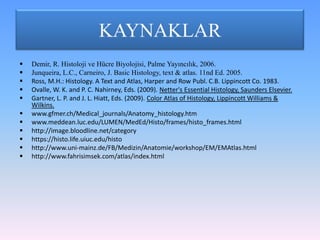 KAYNAKLAR
   Demir, R. Histoloji ve Hücre Biyolojisi, Palme Yayıncılık, 2006.
   Junqueira, L.C., Carneiro, J. Basic Histology, text & atlas. 11nd Ed. 2005.
   Ross, M.H.: Histology. A Text and Atlas, Harper and Row Publ. C.B. Lippincott Co. 1983.
   Ovalle, W. K. and P. C. Nahirney, Eds. (2009). Netter's Essential Histology, Saunders Elsevier.
   Gartner, L. P. and J. L. Hiatt, Eds. (2009). Color Atlas of Histology, Lippincott Williams &
    Wilkins.
   www.gfmer.ch/Medical_journals/Anatomy_histology.htm
   www.meddean.luc.edu/LUMEN/MedEd/Histo/frames/histo_frames.html
   http://image.bloodline.net/category
   https://histo.life.uiuc.edu/histo
   http://www.uni-mainz.de/FB/Medizin/Anatomie/workshop/EM/EMAtlas.html
   http://www.fahrisimsek.com/atlas/index.html
 