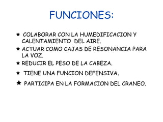 FUNCIONES:COLABORAR CON LA HUMEDIFICACION Y CALENTAMIENTO  DEL AIRE.