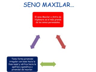 REDUCIR EL PESO DE LA CABEZA.