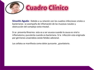 En el momento del nacimiento, únicamente están presentes los senos etmoidales anteriores y un esbozo de antros maxilares, con los gérmenes dentarios en su interior; posteriormente se desarrollan los senos frontales y etmoidales posteriores, y alrededor de los 17 años los senos esfenoidales.