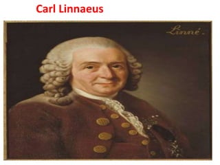 Carl Linnaeus
 