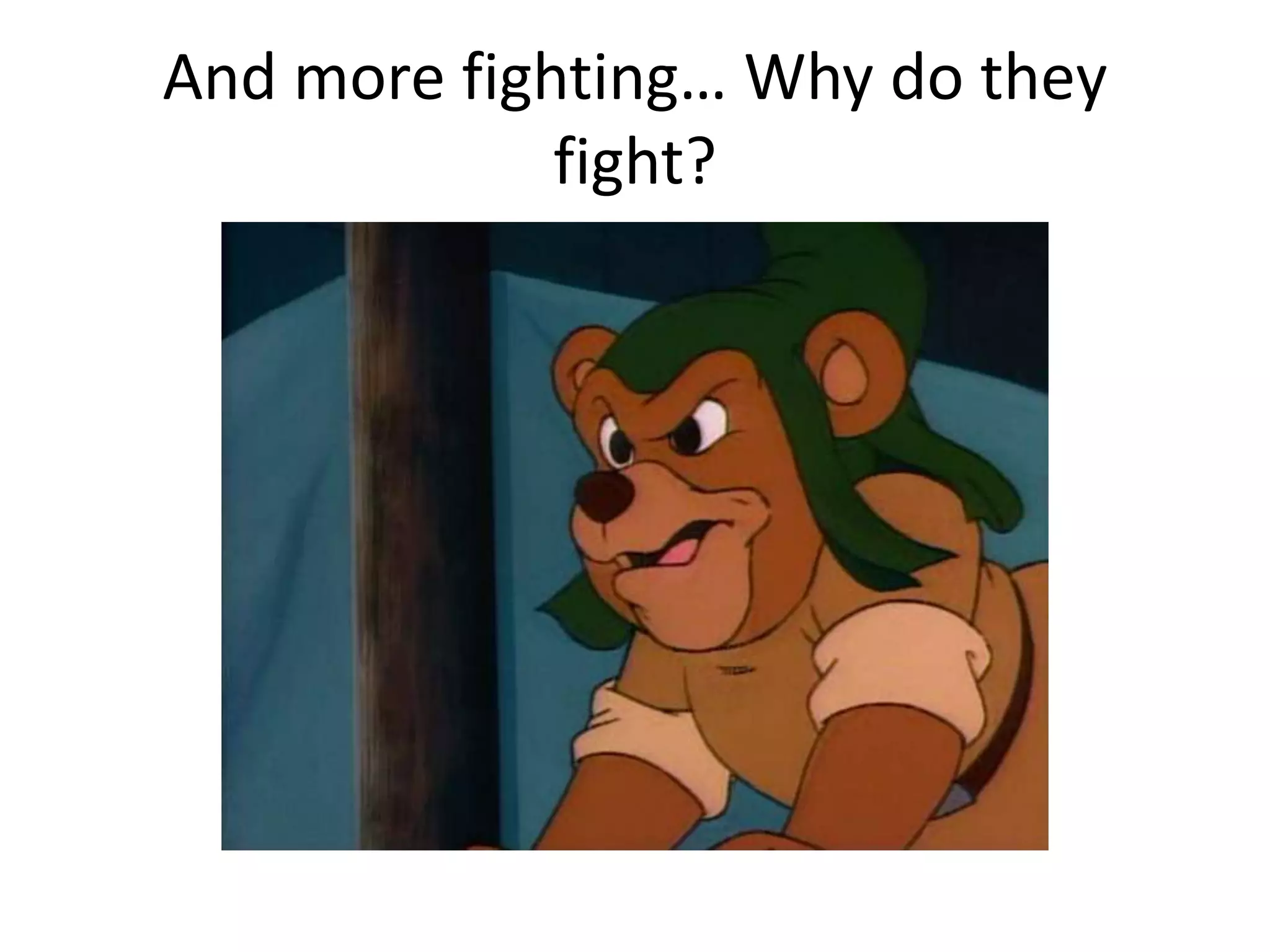 And more fighting… Why do they 
fight? 
 