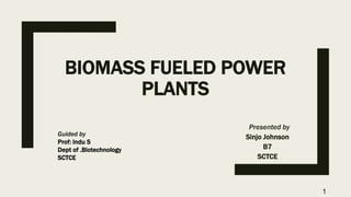 BIOMASS FUELED POWER
PLANTS
Presented by
Sinjo Johnson
B7
SCTCE
Guided by
Prof: Indu S
Dept of .Biotechnology
SCTCE
1
 