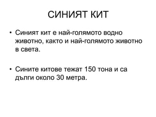 Синият кит | PPT