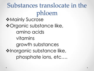 Substances translocate in the 
phloem 
Mainly Sucrose 
Organic substance like, 
amino acids 
vitamins 
growth substances 
Inorganic substance like, 
phosphate ions, etc…. 
 