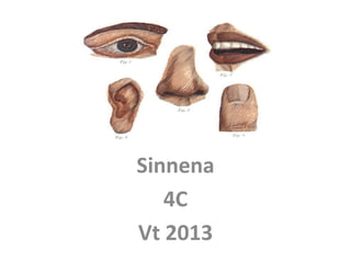 Sinnena
   4C
Vt 2013
 