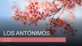 LOS ANTÓNIMOS
GRADO SEGUNDO
PROFE LILIANA
 