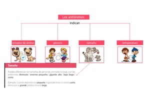 Sinónimos y antónimos.pptx