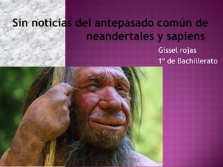 Sin noticias del antepasado común de
neandertales y sapiens
Gissel rojas
1º de Bachillerato

 