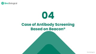 Antibody Discovery by Single B Cell Screening on Beacon® | PDF