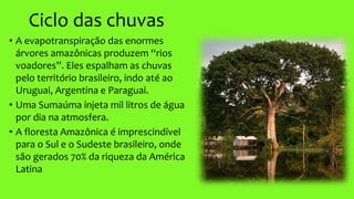 Ciclo das chuvas
• A evapotranspiração das enormes
árvores amazônicas produzem “rios
voadores”. Eles espalham as chuvas
pelo território brasileiro, indo até ao
Uruguai, Argentina e Paraguai.
• Uma Sumaúma injeta mil litros de água
por dia na atmosfera.
• A floresta Amazônica é imprescindível
para o Sul e o Sudeste brasileiro, onde
são gerados 70% da riqueza da América
Latina
 