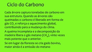 Ciclo do Carbono
Cada árvore captura toneladas de carbono em
sua estrutura. Quando as árvores são
queimadas o carbono é liberado em forma de
gás CO2 e reforça o aquecimento global,
contribuindo para a mudança do clima.
A queima incompleta e a decomposição da
madeira libera o gás metano (CH4), vinte vezes
mais potente que o anterior.
Se em lugar da floresta se cria gado bovino,
maior ainda é a emissão do metano
 