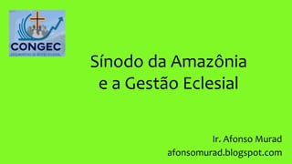 Sínodo da Amazônia
e a Gestão Eclesial
Ir. Afonso Murad
afonsomurad.blogspot.com
 