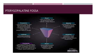 PTERYGOPALATINE FOSSA
 
