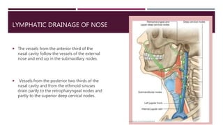 LYMPHATIC DRAINAGE OF NOSE
 The vessels from the anterior third of the
nasal cavity follow the vessels of the external
nose and end up in the submaxillary nodes.
 Vessels from the posterior two thirds of the
nasal cavity and from the ethmoid sinuses
drain partly to the retropharyngeal nodes and
partly to the superior deep cervical nodes.
 