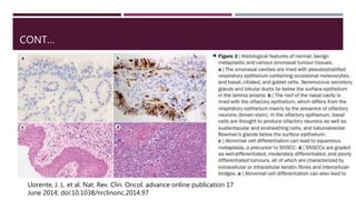 CONT…
Llorente, J. L. et al. Nat. Rev. Clin. Oncol. advance online publication 17
June 2014; doi:10.1038/nrclinonc.2014.97
 