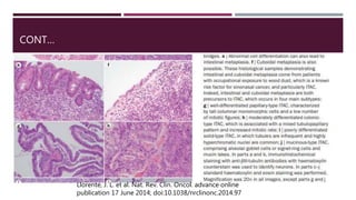 CONT…
Llorente, J. L. et al. Nat. Rev. Clin. Oncol. advance online
publication 17 June 2014; doi:10.1038/nrclinonc.2014.97
 