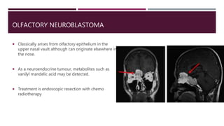 OLFACTORY NEUROBLASTOMA
 Classically arises from olfactory epithelium in the
upper nasal vault although can originate elsewhere in
the nose.
 As a neuroendocrine tumour, metabolites such as
vanilyl mandelic acid may be detected.
 Treatment is endoscopic resection with chemo
radiotherapy
 