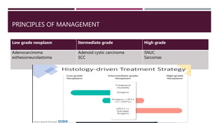 PRINCIPLES OF MANAGEMENT
Low grade neoplasm Itermediate grade High grade
Adenocarcinoma
esthesioneurolastoma
Adenoid cystic carcinoma
SCC
SNUC
Sarcomas
 