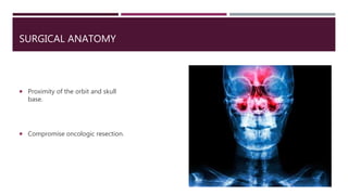 SURGICAL ANATOMY
 Proximity of the orbit and skull
base.
 Compromise oncologic resection.
 