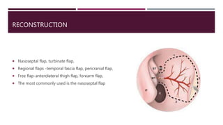 RECONSTRUCTION
 Nasoseptal flap, turbinate flap,
 Regional flaps -temporal fascia flap, pericranial flap,
 Free flap-anterolateral thigh flap, forearm flap,
 The most commonly used is the nasoseptal flap
 