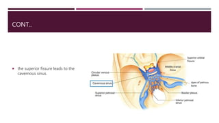 CONT..
 the superior fissure leads to the
cavernous sinus.
 