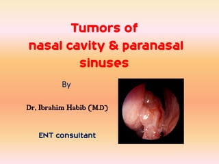 Tumors of
nasal cavity & paranasal
        sinuses
         By

Dr, Ibrahim Habib (M.D)

   ENT consultant
 