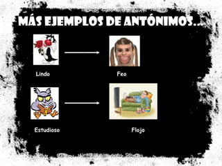 Más ejemplos de antónimos... Lindo  Feo  Estudioso  Flojo  