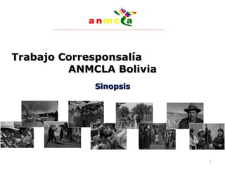 Trabajo Corresponsalía  ANMCLA Bolivia Sinopsis 