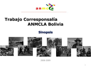 Trabajo Corresponsalía  ANMCLA Bolivia Sinopsis 2008-2009 