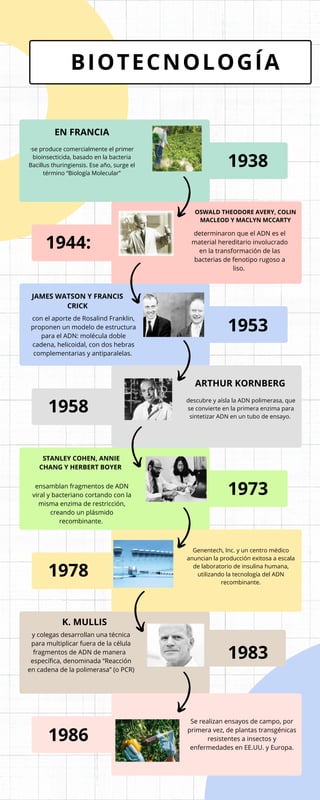 EN FRANCIA
·se produce comercialmente el primer
bioinsecticida, basado en la bacteria
Bacillus thuringiensis. Ese año, surge el
término “Biología Molecular”
1938
1944:
OSWALD THEODORE AVERY, COLIN
MACLEOD Y MACLYN MCCARTY
determinaron que el ADN es el
material hereditario involucrado
en la transformación de las
bacterias de fenotipo rugoso a
liso.
JAMES WATSON Y FRANCIS
CRICK
con el aporte de Rosalind Franklin,
proponen un modelo de estructura
para el ADN: molécula doble
cadena, helicoidal, con dos hebras
complementarias y antiparalelas.
1953
1958
ARTHUR KORNBERG
descubre y aísla la ADN polimerasa, que
se convierte en la primera enzima para
sintetizar ADN en un tubo de ensayo.
STANLEY COHEN, ANNIE
CHANG Y HERBERT BOYER
ensamblan fragmentos de ADN
viral y bacteriano cortando con la
misma enzima de restricción,
creando un plásmido
recombinante.
1973
1978
Genentech, Inc. y un centro médico
anuncian la producción exitosa a escala
de laboratorio de insulina humana,
utilizando la tecnología del ADN
recombinante.
y colegas desarrollan una técnica
para multiplicar fuera de la célula
fragmentos de ADN de manera
específica, denominada “Reacción
en cadena de la polimerasa” (o PCR)
1983
1986
Se realizan ensayos de campo, por
primera vez, de plantas transgénicas
resistentes a insectos y
enfermedades en EE.UU. y Europa.
BIOTECNOLOGÍA
K. MULLIS
 