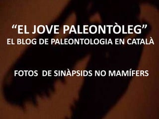 “EL JOVE PALEONTÒLEG”
EL BLOG DE PALEONTOLOGIA EN CATALÀ
FOTOS DE SINÀPSIDS NO MAMÍFERS
 