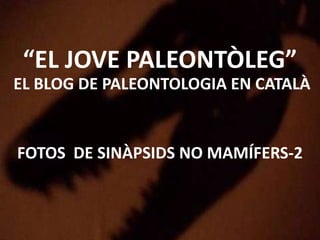 “EL JOVE PALEONTÒLEG”
EL BLOG DE PALEONTOLOGIA EN CATALÀ
FOTOS DE SINÀPSIDS NO MAMÍFERS-2
 