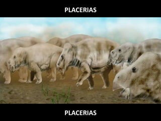 PLACERIAS
PLACERIAS
 