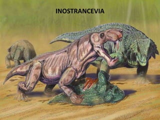INOSTRANCEVIA
 