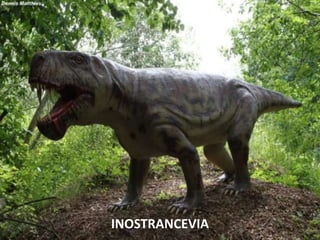 INOSTRANCEVIA
 