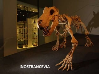 INOSTRANCEVIA
 