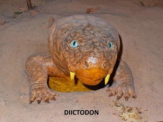 DIICTODON
 