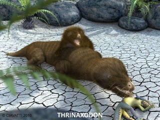 THRINAXODON
 
