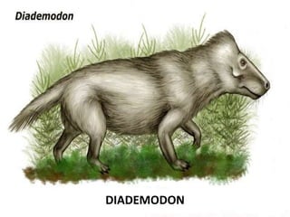 DIADEMODON
 