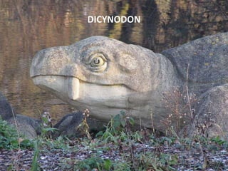 DICYNODON
 