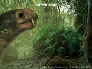 DICYNODON
 