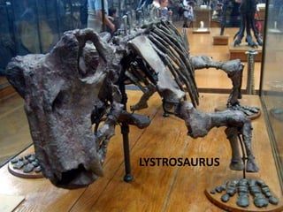 LYSTROSAURUS
 