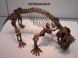 LYSTROSAURUS
 
