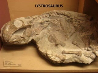 LYSTROSAURUS
 