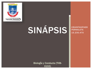 CRHISTHOPHER
PERNALETE
15.230.470
BiologÍa y Conducta (THB-
0153)
SINÁPSIS
 